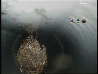 Inspection vidéo de canalisation par caméra